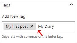 wp-adding-post-tag.gif